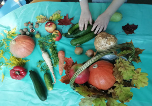 Uczeń, mając zasłonięte oczy, rozpoznaje warzywa i owoce dotykając i wąchając je.